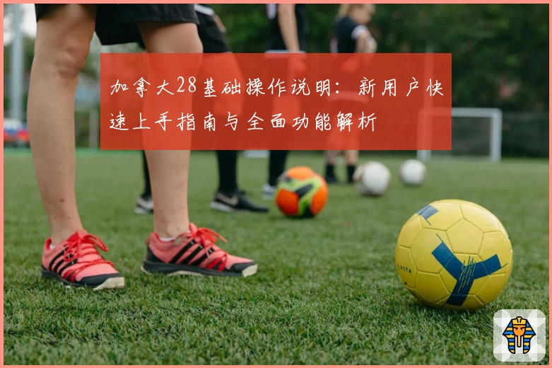 加拿大28基础操作说明：新用户快速上手指南与全面功能解析