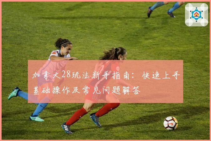 加拿大28玩法新手指南:快速上手基础操作及常见问题解答