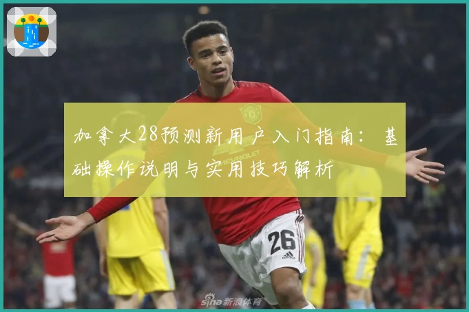 加拿大28预测新用户入门指南:基础操作说明与实用技巧解析