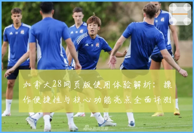 加拿大28网页版使用体验解析：操作便捷性与核心功能亮点全面评测