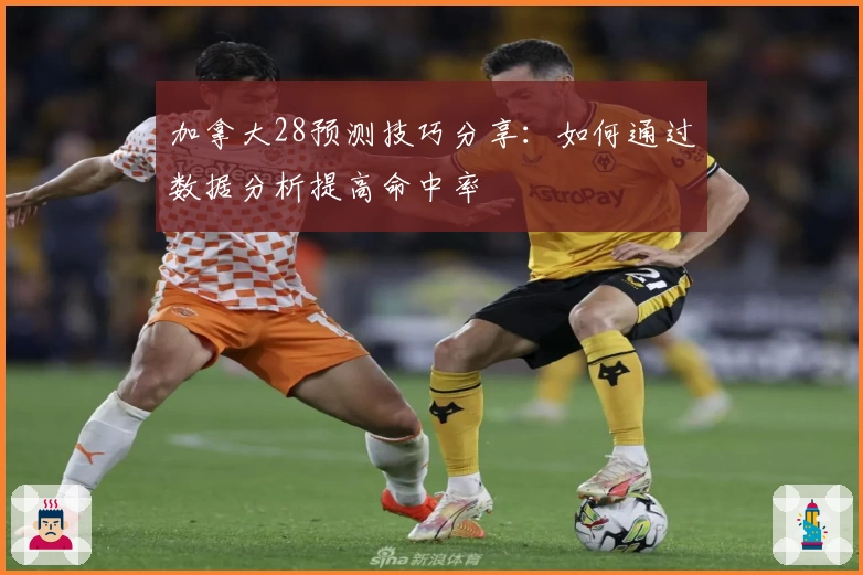 加拿大28预测技巧分享：如何通过数据分析提高命中率