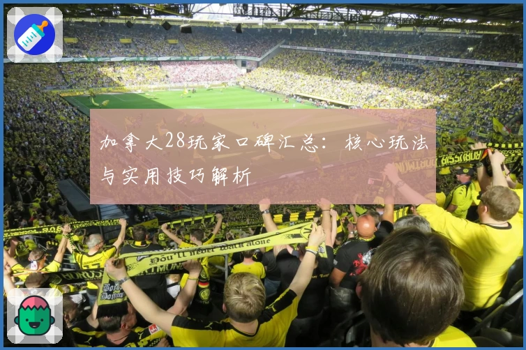 加拿大28玩家口碑汇总：核心玩法与实用技巧解析