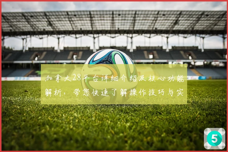 加拿大28平台详细介绍及核心功能解析，带您快速了解操作技巧与实用场景