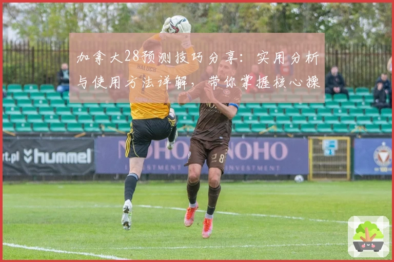 加拿大28预测技巧分享：实用分析与使用方法详解，带你掌握核心操作技巧