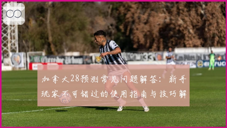 加拿大28预测常见问题解答：新手玩家不可错过的使用指南与技巧解析