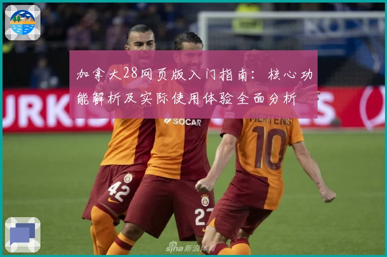 加拿大28网页版入门指南：核心功能解析及实际使用体验全面分析