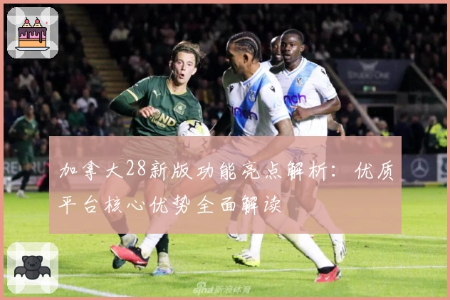 加拿大28新版功能亮点解析：优质平台核心优势全面解读