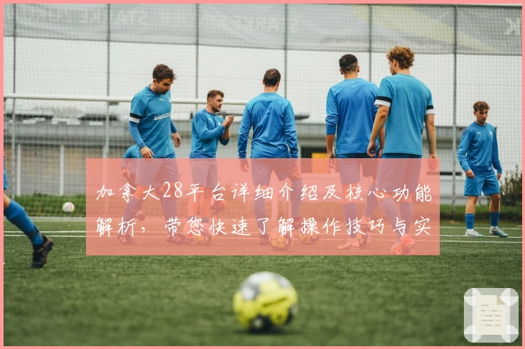 加拿大28平台详细介绍及核心功能解析，带您快速了解操作技巧与实用场景