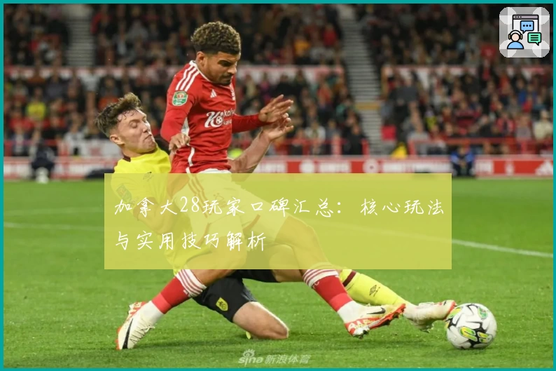 加拿大28玩家口碑汇总：核心玩法与实用技巧解析